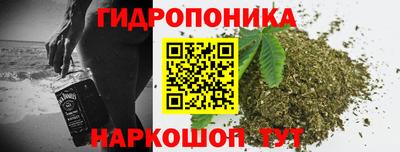 шишки Можайск